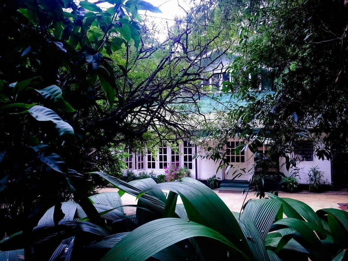 Surrey Bird Sanctuary & Holiday Resort Welimada Exterior photo